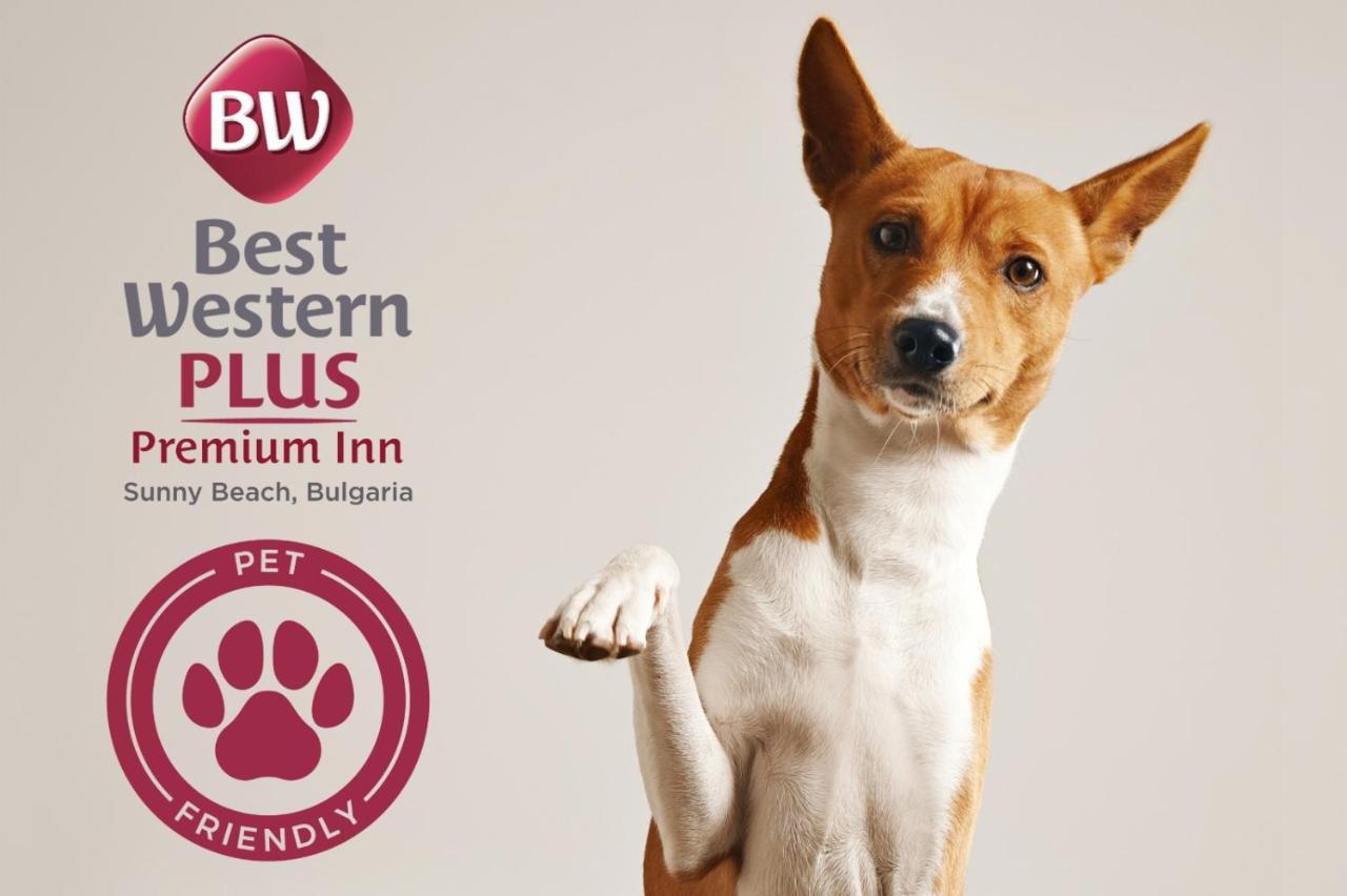 Best Western Plus Premium Inn Slântsjev Brjag Eksteriør bilde